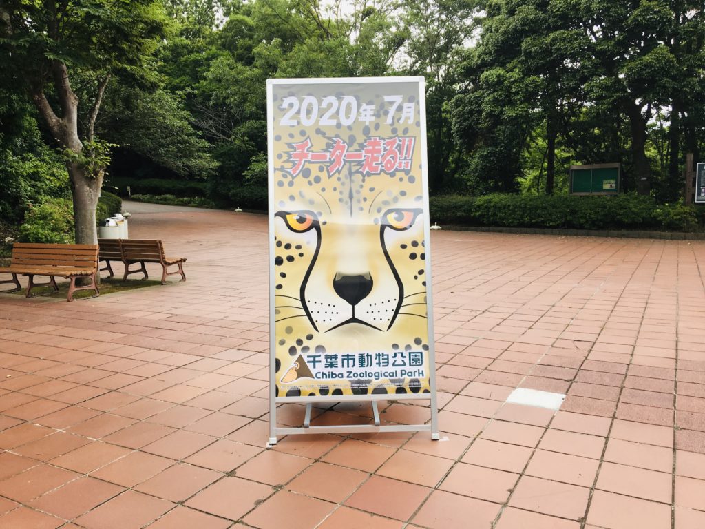 癒しスポット 千葉市動物公園 園内情報と見どころを更新 第８回目 ほぐし処とりっぷ